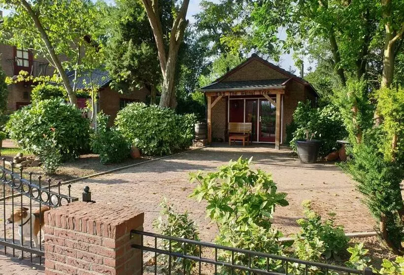 Bed & Breakfast The Walnut Tree