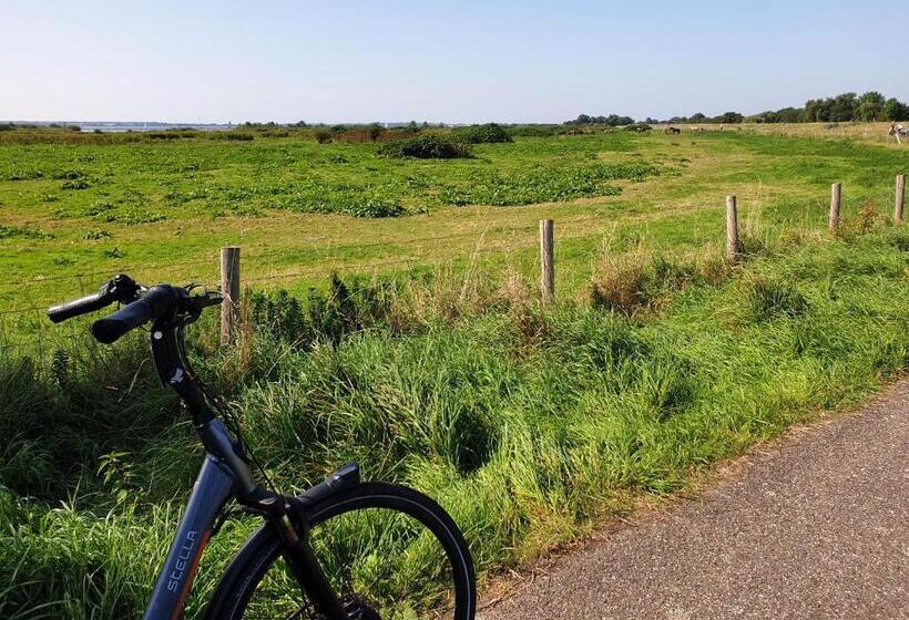Bed & Breakfast The Walnut Tree