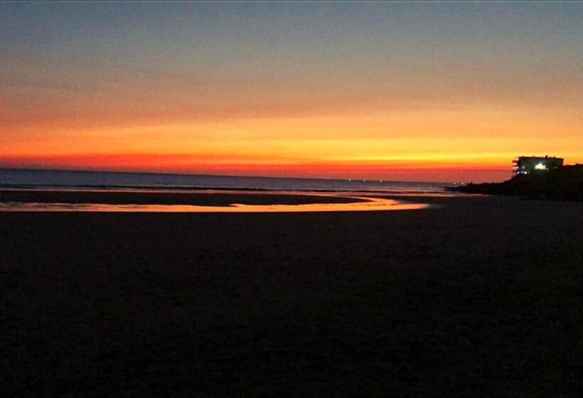 فندق The Horizon