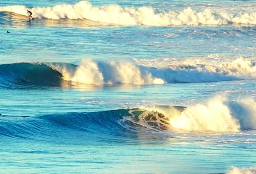 فندق The Horizon