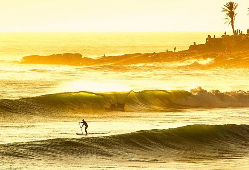 فندق The Horizon