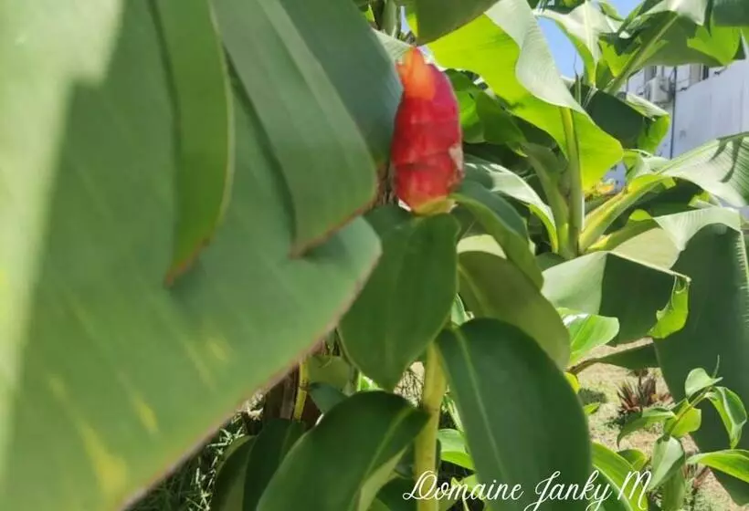 پانسیون Bungalow Corail Au Domaine De Janky M   Calme Et Piscine