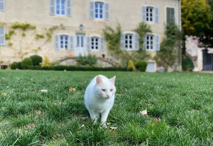 Aamiaismajoitus (B&B) La Saura