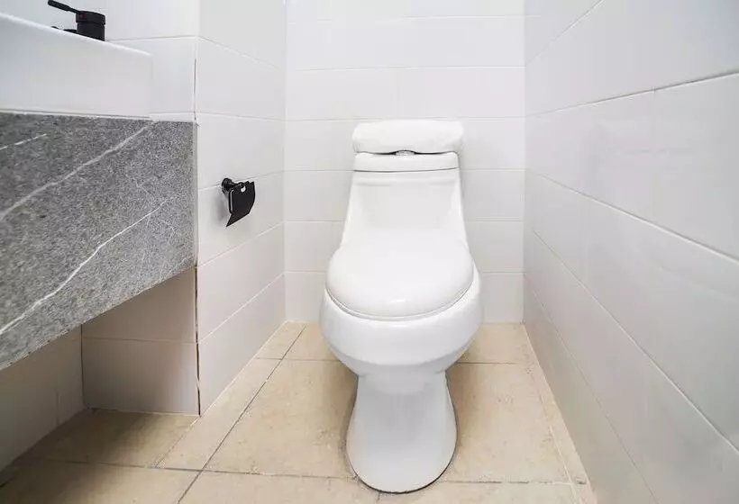 هتل Adhoc Cintermex