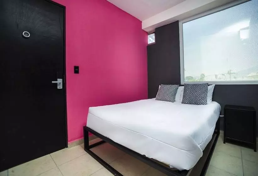 هتل Adhoc Cintermex