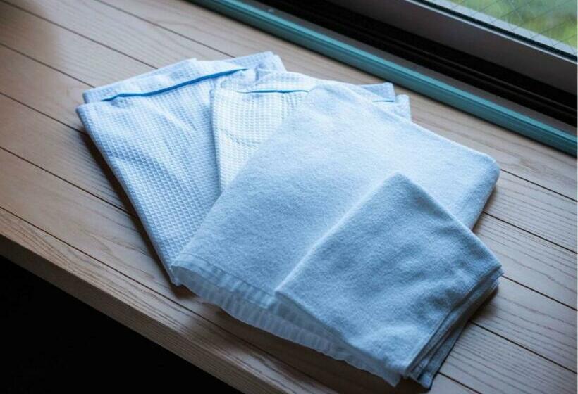 En Hotel Hiroshima   Vacation Stay 45750v