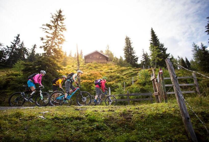 Natursinn Mountainchalets