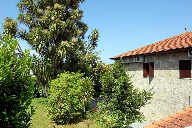 هاستل Bolinhos De Amor