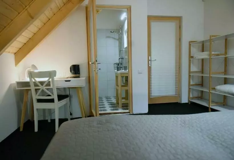 Aamiaismajoitus (B&B) Aster Panzió