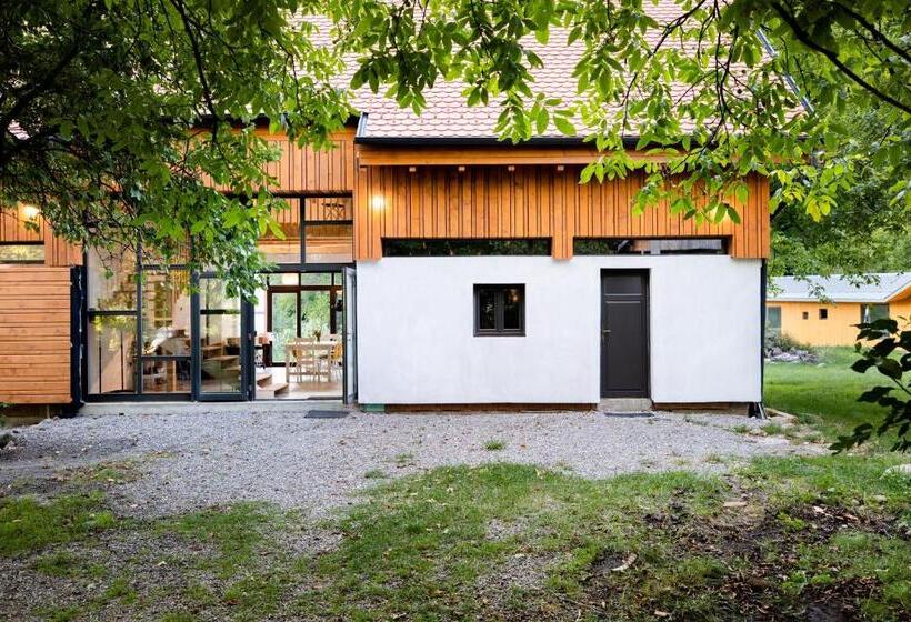 مبيت وإفطار Aster Panzió