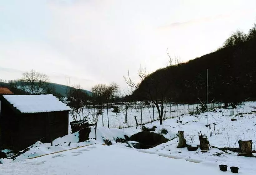 Aamiaismajoitus (B&B) Aster Panzió