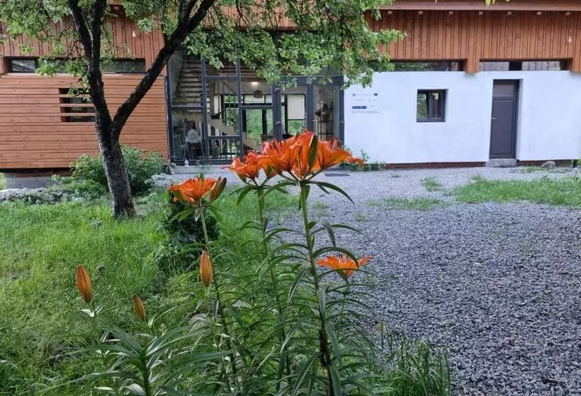 Aamiaismajoitus (B&B) Aster Panzió