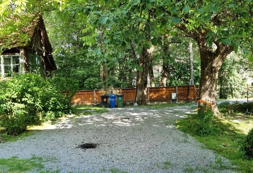 مبيت وإفطار Aster Panzió