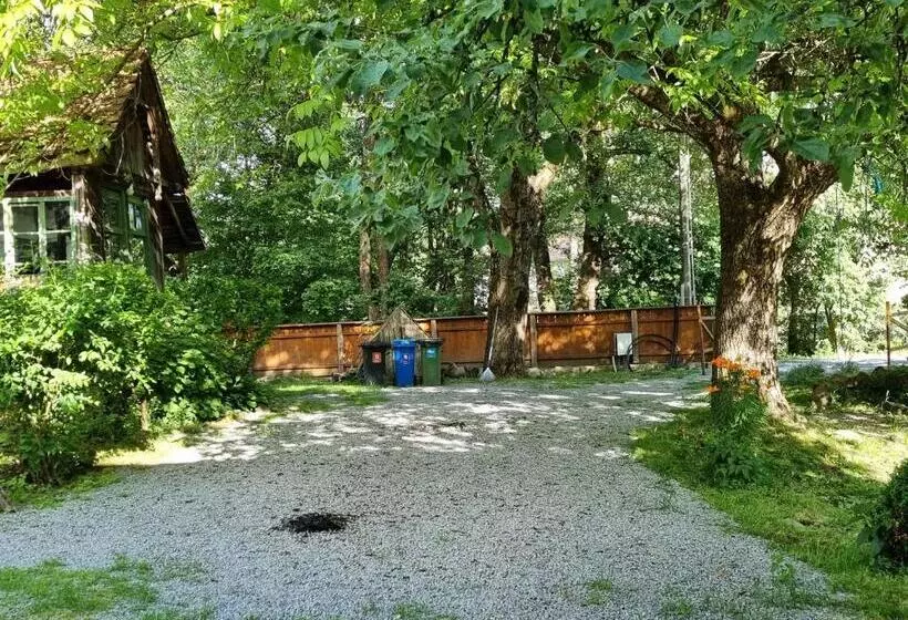 Aamiaismajoitus (B&B) Aster Panzió