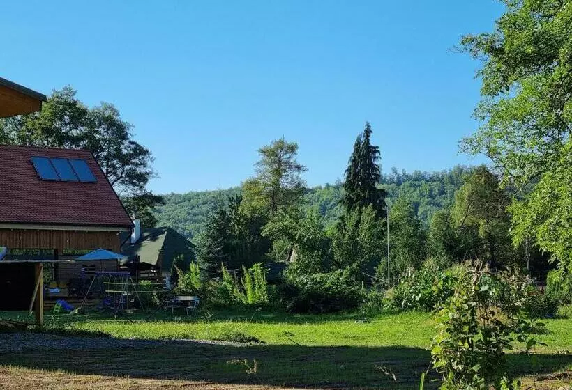 Aamiaismajoitus (B&B) Aster Panzió