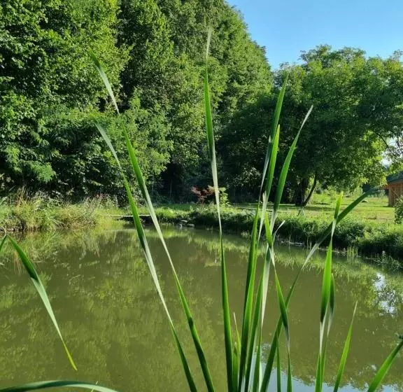 Aamiaismajoitus (B&B) Aster Panzió