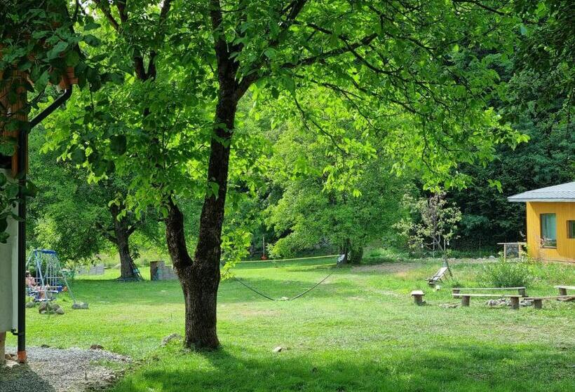 مبيت وإفطار Aster Panzió