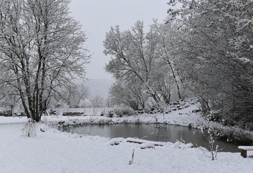 مبيت وإفطار Aster Panzió
