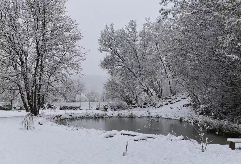 Aamiaismajoitus (B&B) Aster Panzió