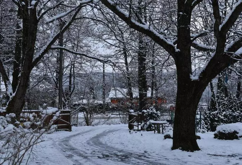 Aamiaismajoitus (B&B) Aster Panzió