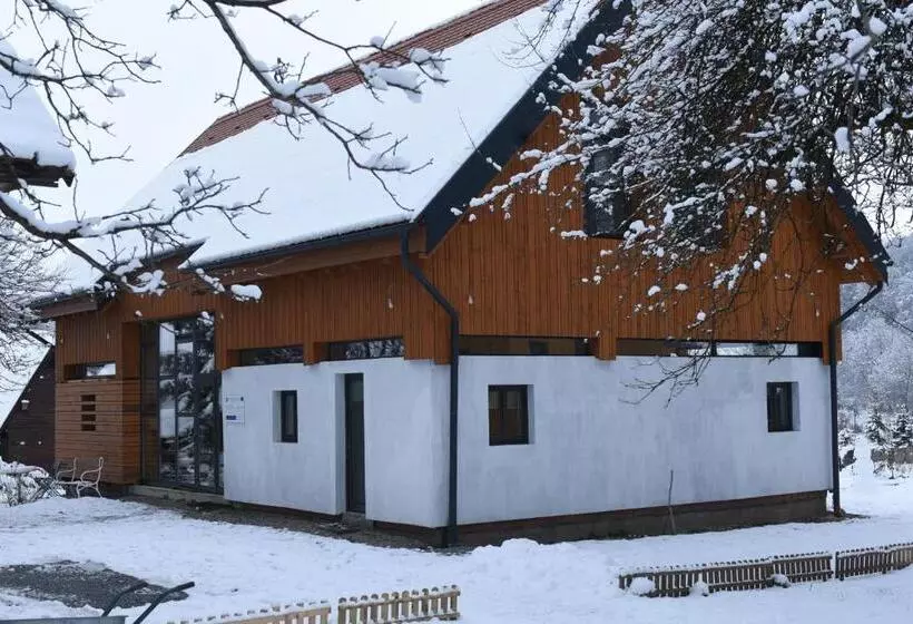 Aamiaismajoitus (B&B) Aster Panzió