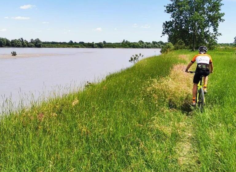 膳宿费 Tlcafè Hospitality