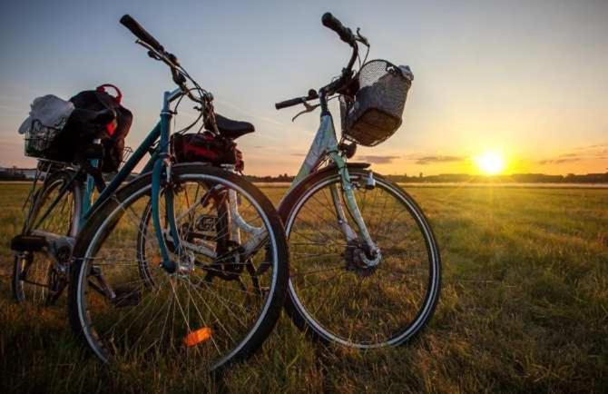 膳宿费 Tlcafè Hospitality