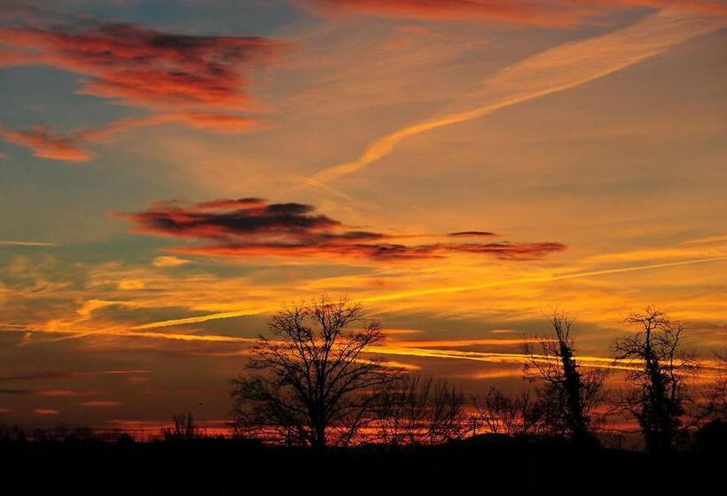 膳宿费 Tlcafè Hospitality