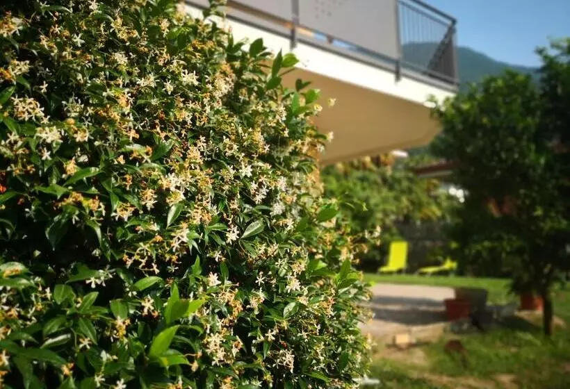 B&b Esmeralda