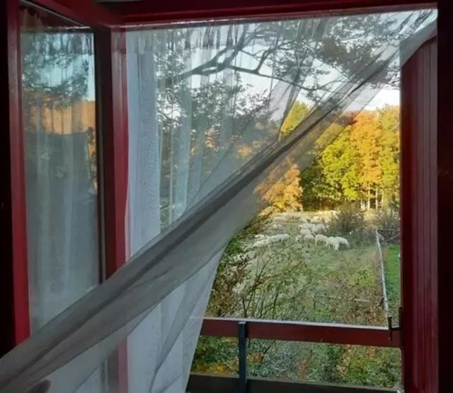 B&b Villa Olimpia