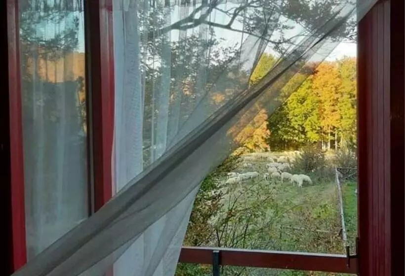 B&b Villa Olimpia