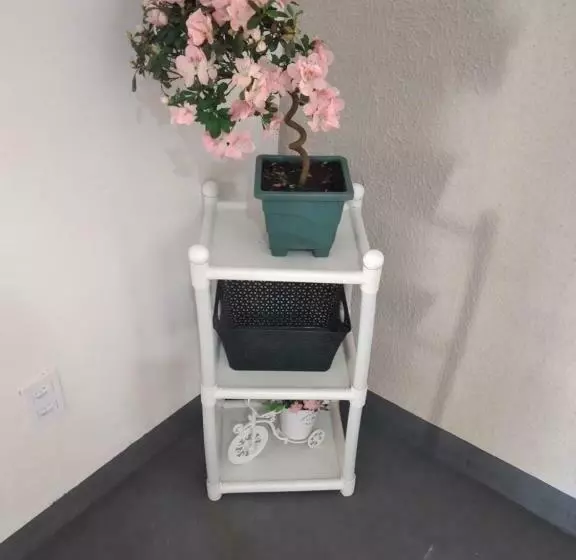 ペンション Hostel Casa Das Flores Colorado