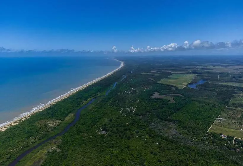 ペンション Pousada Buriti