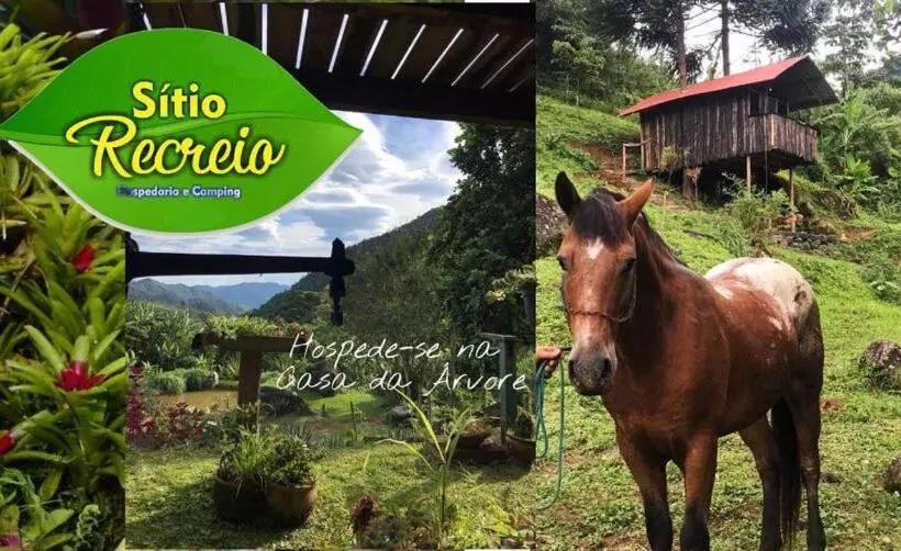 ペンション Pousada Sitio Recreio Em Lumiar