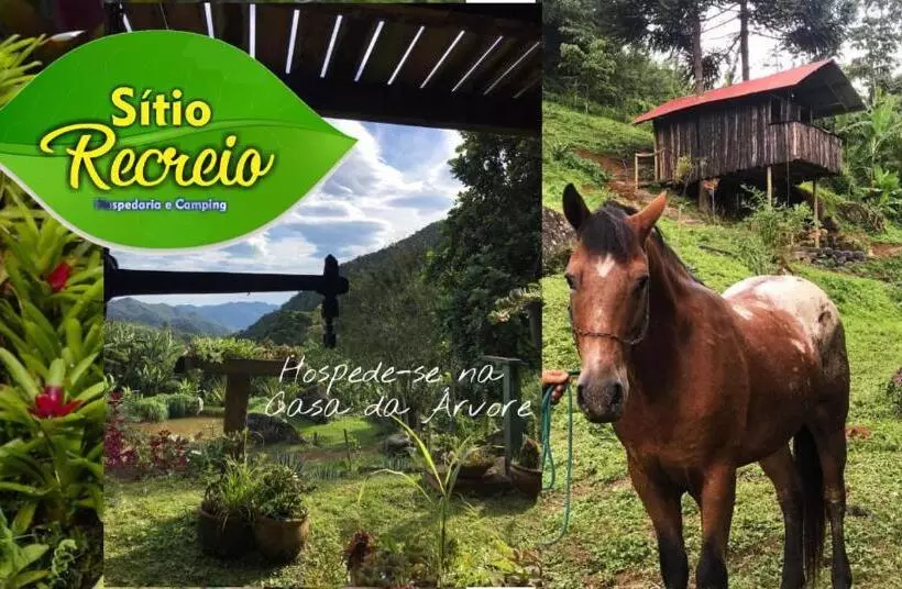 ペンション Pousada Sitio Recreio Em Lumiar