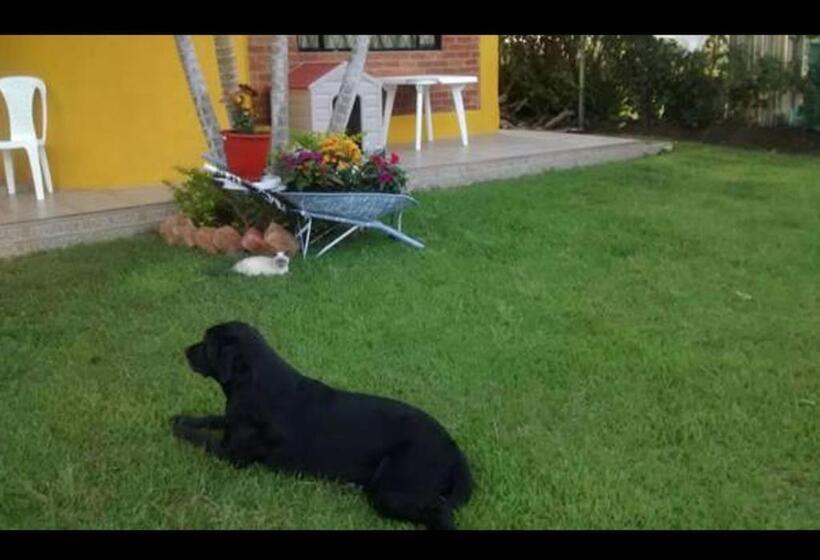 هاستل Alex Country House