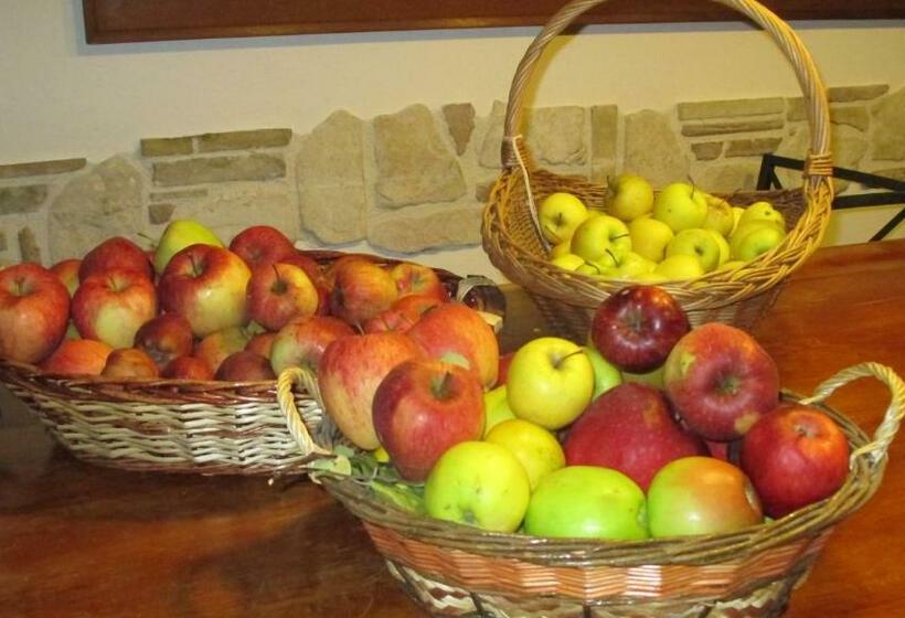 Bed and Breakfast Il Rifugio Nel Parco