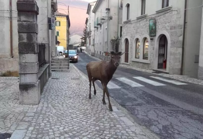 Aamiaismajoitus (B&B) Il Rifugio Nel Parco