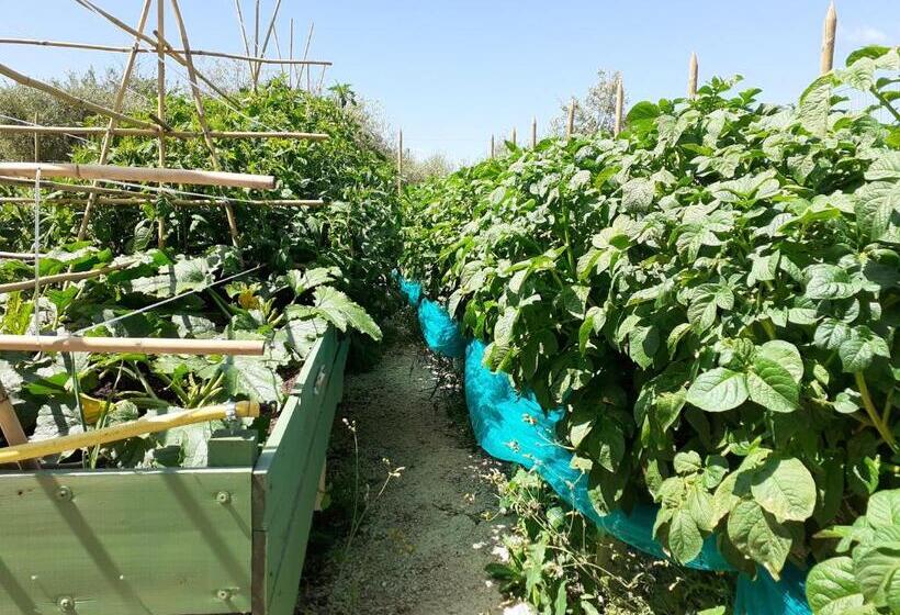 ホテル La Fornella Dell Anita