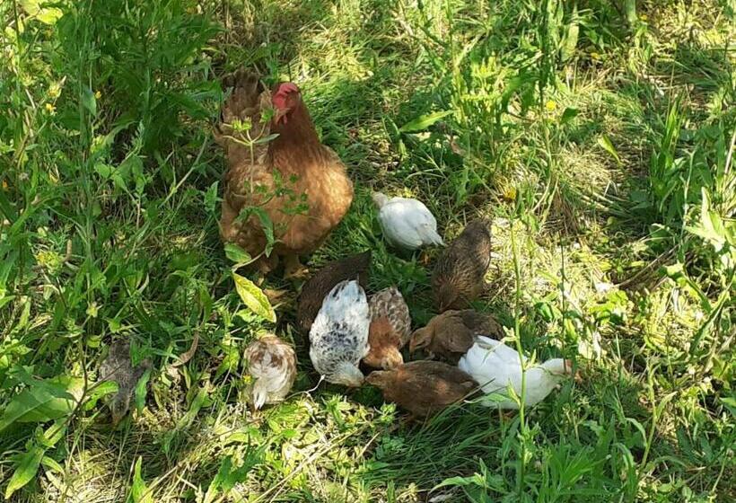 ホテル La Fornella Dell Anita