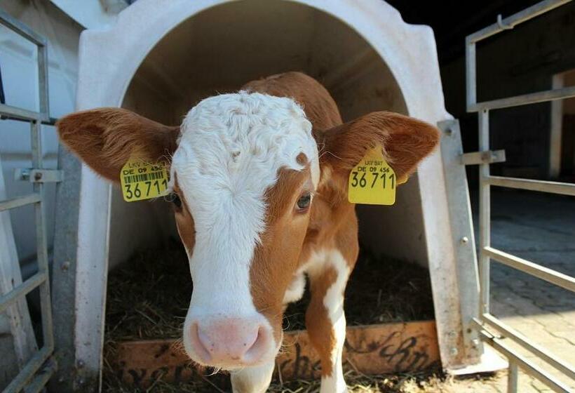 فندق Schneiderhof Urlaub Auf Dem Bauernhof