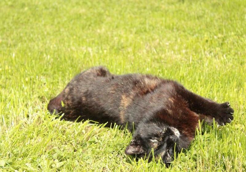 فندق Schneiderhof Urlaub Auf Dem Bauernhof