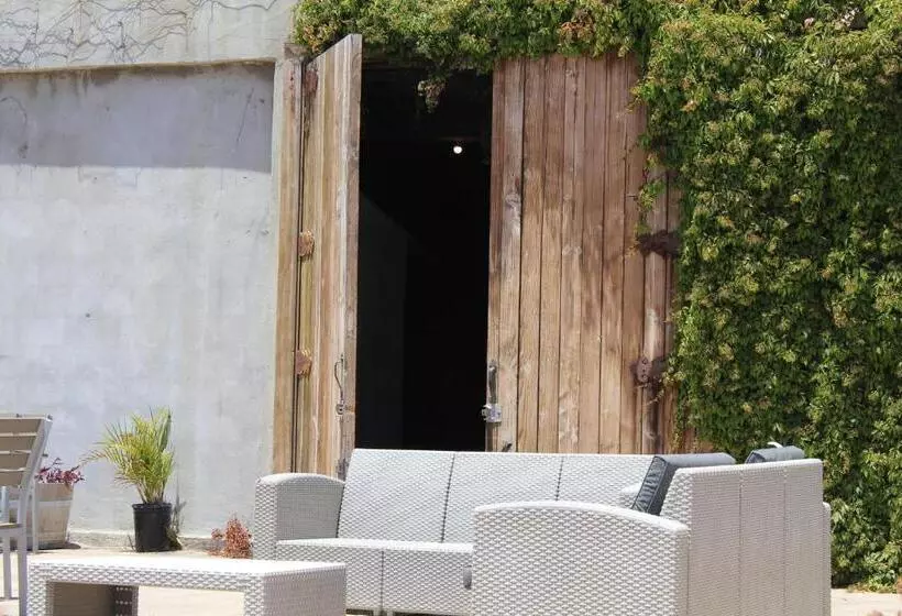 Viñas Del Castillo Hotel Boutique