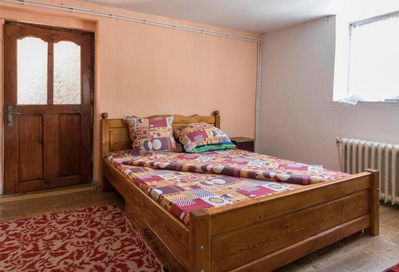 Пансион Casa De Vacanta Jeny