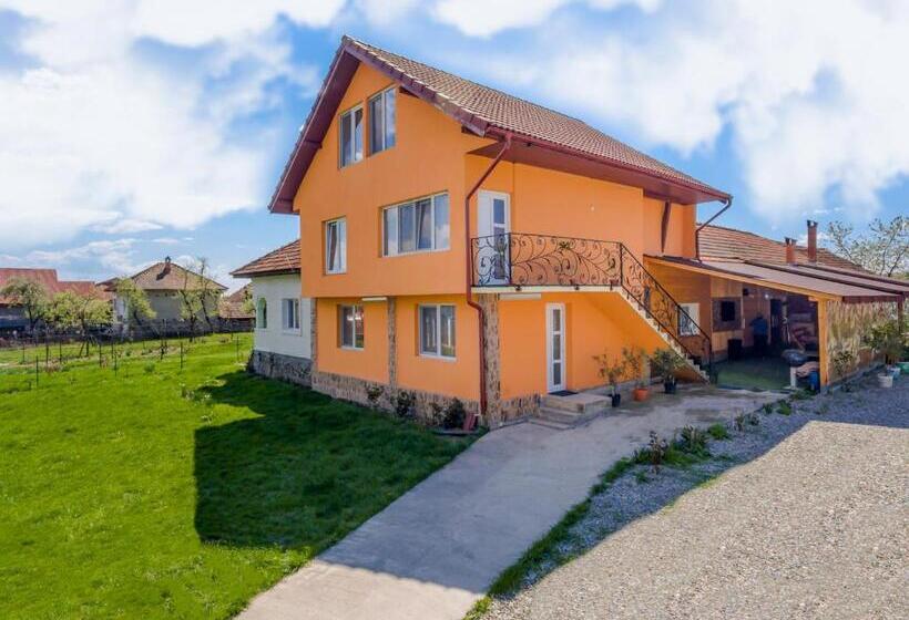 Пансион Casa De Vacanta Jeny