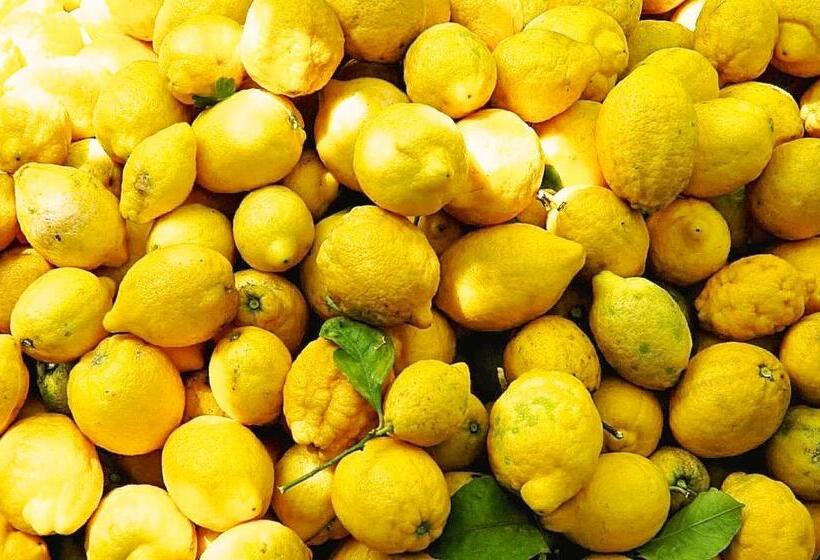 پانسیون Il Giardino Incantato