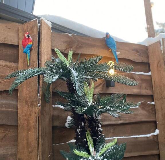 پانسیون Silumetras