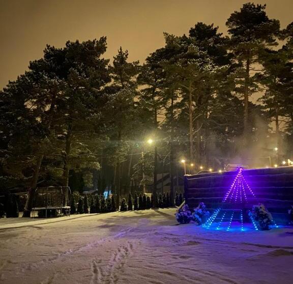 پانسیون Silumetras