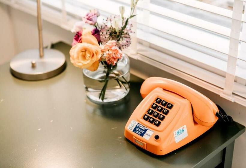 פנסיון Zylt Zandvoort