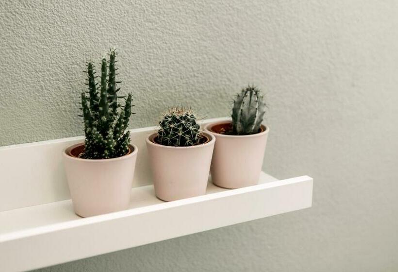 פנסיון Zylt Zandvoort